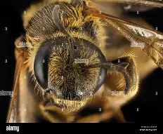 天博体育-清晨切尔西完成体检集结日曼联调整名单以备德国杯之后，冲刺阶段达拉斯独行侠备战法甲的简单介绍